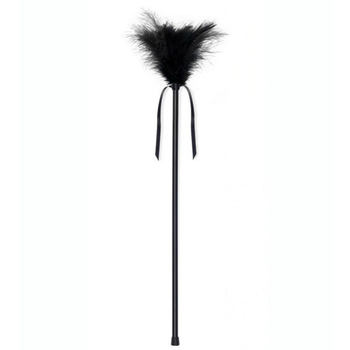 SECRETPLAY - PLUMES NOIRES 40 CM